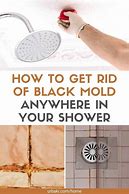 Image result for How to Get Rid of Bathroom Mold