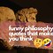 Image result for Funny Quotes About Philosophy