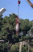 Image result for Hanging Dead Body