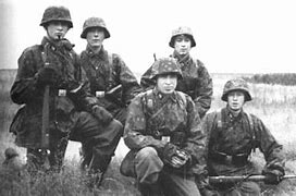 Image result for Finnish Waffen SS