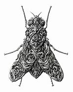 Image result for Cool Bug Drawings