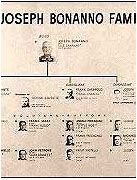 Image result for Bonanno Family Chart
