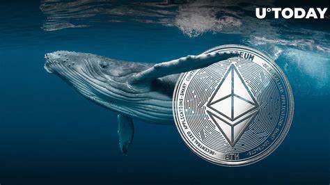 What is ethereum whale