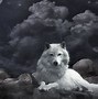 Image result for Live Wallpaper Wolf Desktop