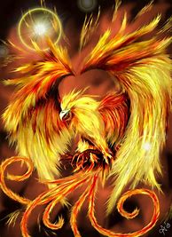 Image result for Phoenix Rising Drawing