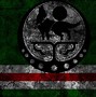 Image result for Chechnya Flag