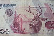 Image result for 100 000 Pesos