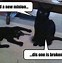 Image result for Funny Jokes About Animals
