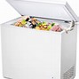 Image result for outdoor chest freezer
