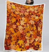 Image result for Linen Blanket