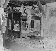 Image result for Mauthausen Survivors