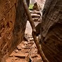 Image result for Emerald Pools Trail Zion