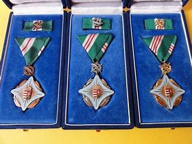 Image result for Hungarian Medals