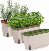 Image result for Indoor Rectangular Planter Boxes