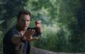 Image result for Chris Pratt and Wife