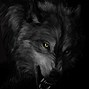 Image result for Shadow Wolf