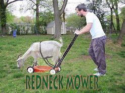 Image result for Redneck with Sheep