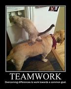 Image result for Inspirational Work Quotes Teamwork Funny