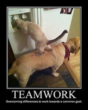 Image result for Funny Teamwork Motivational