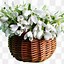 Image result for Flowers for You Animated