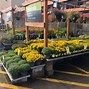 Image result for Home Depot Garden Center Riding Lawn Mower