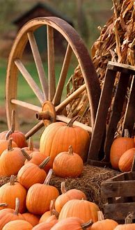 Image result for Autumn Pumpkin Wallpaper