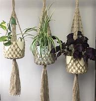 Image result for Retro Plant Hangers