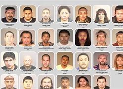 Image result for California Most Wanted List