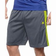 Image result for Adidas Shorts Metallic