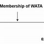 Image result for Wata Co