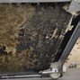 Image result for Where Are the Condenser Coils On a Whirlpool Stand Up Freezer