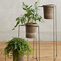 Image result for Pedestal Plant Stands Indoor