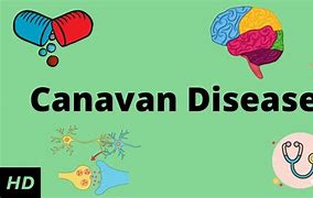 Image result for Canavan Disease Genetics