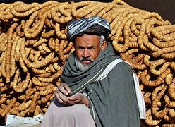 Image result for Ancient Afghan Warriors