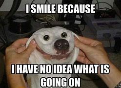 Image result for Funny Animal Smiles Memes