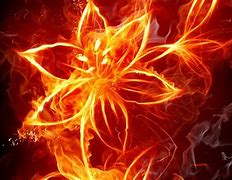 Image result for Cool Abstract Flower Blue Fire