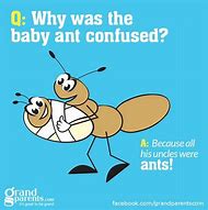 Image result for Funny Clean Jokes for Kids