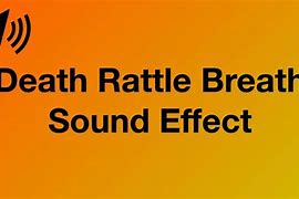 Image result for What Is a Battle Rattle