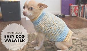 Image result for Easy Dog Sweater Crochet Pattern