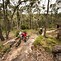 Image result for Commencal Meta