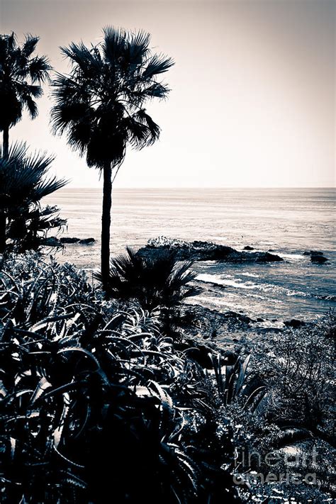 Laguna Beach California Black and White Photograph by Paul Velgos