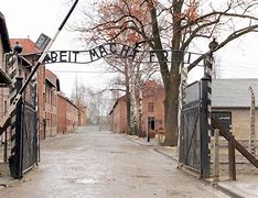Image result for Birkenau
