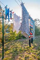 Image result for Clothhes Hanging