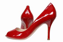 Image result for Exotic Shoes Women