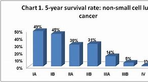 Image result for Stage 4 Cancer Survival Rate