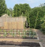 Image result for Spiral Tomato Stakes 6Ft