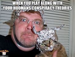Image result for Tin Foil Hat Meme Cat