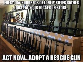Image result for Too Many Guns Meme