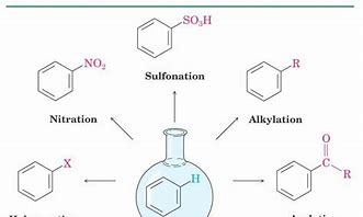 Image result for Electrophilic Aromatic Substitution