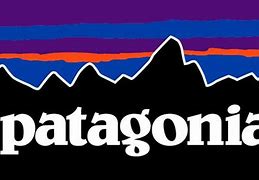 Image result for Patagonia Clothing Logo
